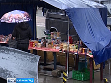 Власти Калининграда намерены бороться со стихийными мини-рынками