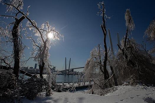 Новый ледяной дождь на шесть часов обрушится на Владивосток. Названы дата и время