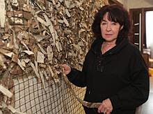 Жители севера столицы отправляют гуманитарную помощь участникам СВО