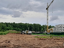 Ярославцы снова требуют остановить застройку Павловской рощи