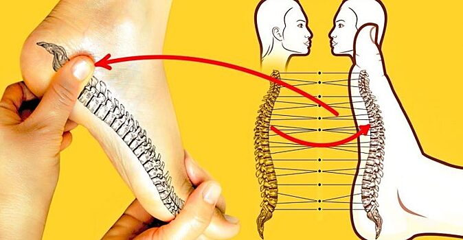 Точечный массаж стоп. Польза от воздействия на активные точки