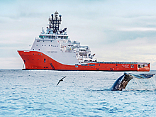 «Газпром нефть» вошла в число лидеров международного климатического рейтинга