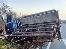 В Сызранском районе столкнулись "Газель" и Ford