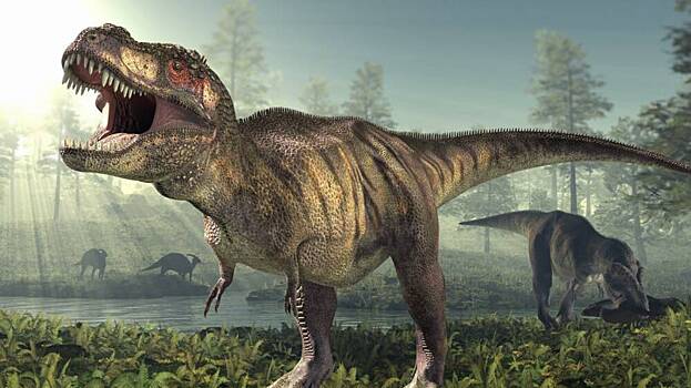 Как форма глаз у динозавров влияла на силу укуса