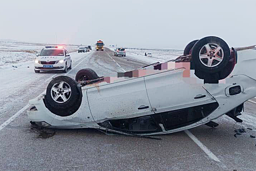 В Иркутской области после ДТП с лошадью госпитализировали девушку
