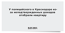 У полицейского в Краснодаре из-за неподтвержденных доходов отобрали квартиру