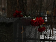 Никитин выразил соболезнования в связи со смертью Радия Илькаева