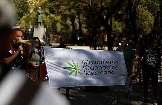 Мексика легализовала марихуану. Как к этому отнеслись в обществе?