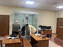 Москвич до смерти избил пятимесячную дочь на глазах у жены и падчерицы