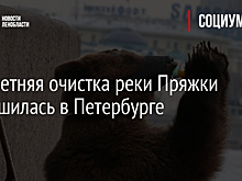 Двухлетняя очистка реки Пряжки завершилась в Петербурге