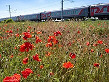 Турист из Орла поблагодарил РЖД за излечение от аэрофобии