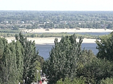 Волгоградцев приглашают нарисовать экологический герб региона