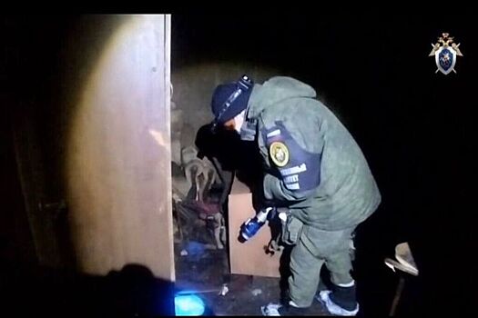 Россиянин жестоко расправился с двумя знакомыми