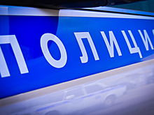 Полицейские раскрыли угон автомобиля в Спасске