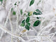 Нельзя шуметь и надевать обновки: приметы на 17 января