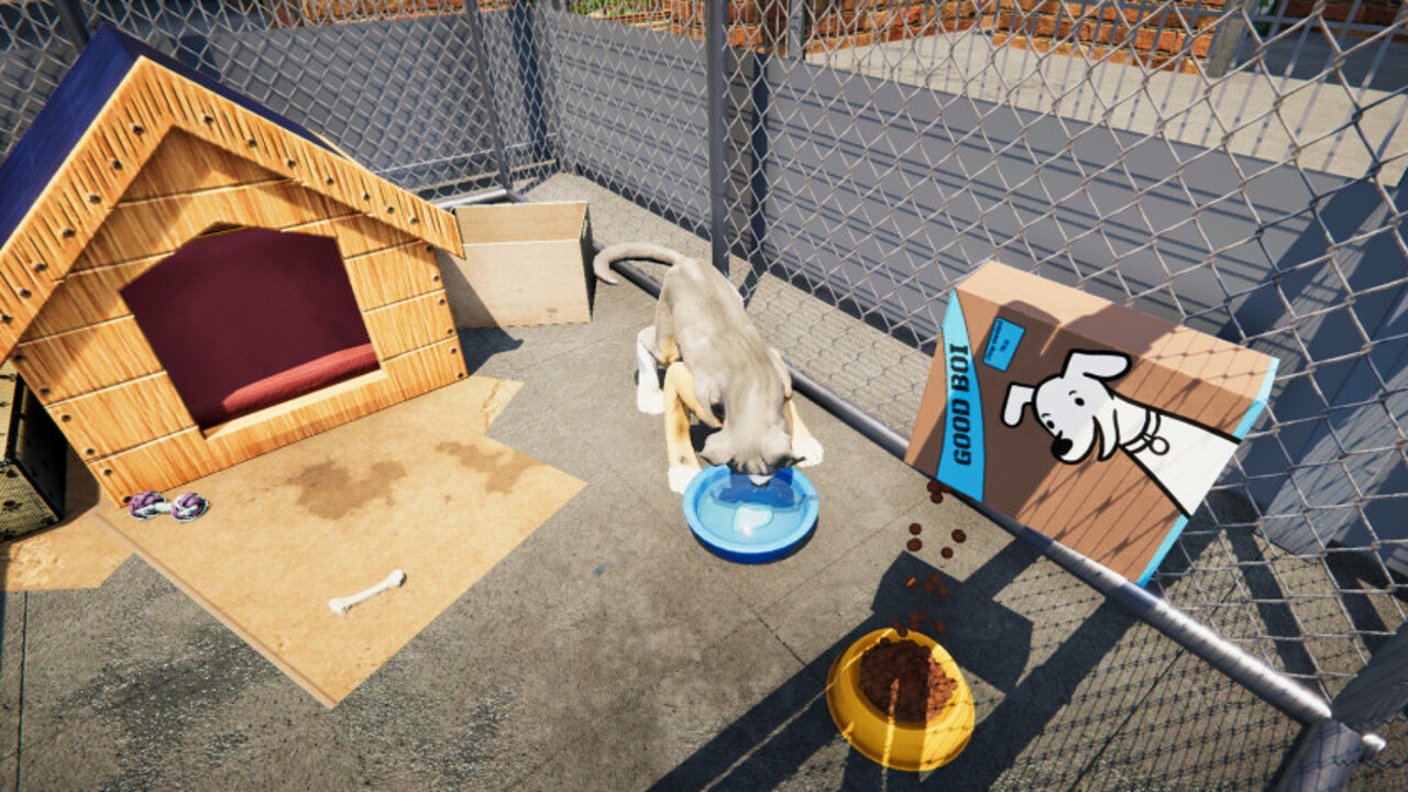 Топ Steam и окупаемость: авторы Animal Shelter похвалились успехами игры -  Рамблер/новости