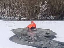 Спасатели вытащили из ледяной воды собаку на юго-востоке столицы