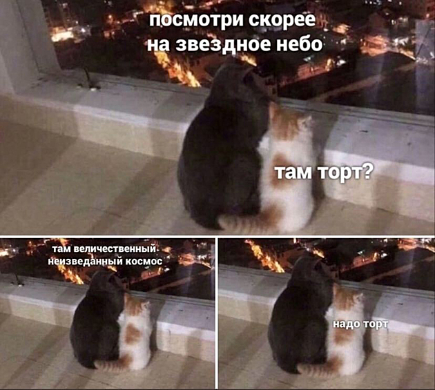 Нам всем надо торт...