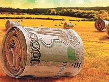 Минсельхоз: страховщики неохотно идут в регионы, необходима новая схема страхования АПК