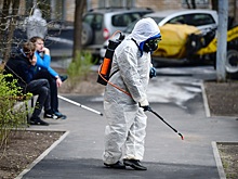 Объяснены скачки заражения коронавирусом в России