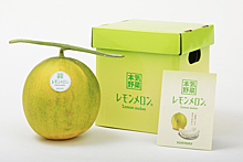 В Японии создали новый фрукт — лимонную дыню