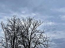 Ночью на Дону сбили два беспилотника самолетного типа