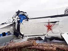 Причиной авиакатастрофы в Татарстане могла стать попавшая в двигатель птица