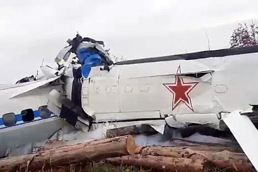 ДОСААФ приостановил все полеты L-410 после авиакатастрофы в Татарстане
