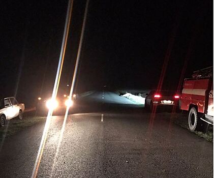 Легковушка врезалась в лошадь: один человек погиб и двое пострадали в ДТП в Ростовской области