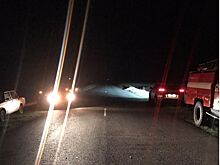 Легковушка врезалась в лошадь: один человек погиб и двое пострадали в ДТП в Ростовской области