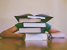 Армавирские учителя и ученики получат премии за отличные результаты ЕГЭ