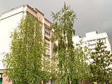 В области запустили чат-бот для жалоб на отсутствие отопления