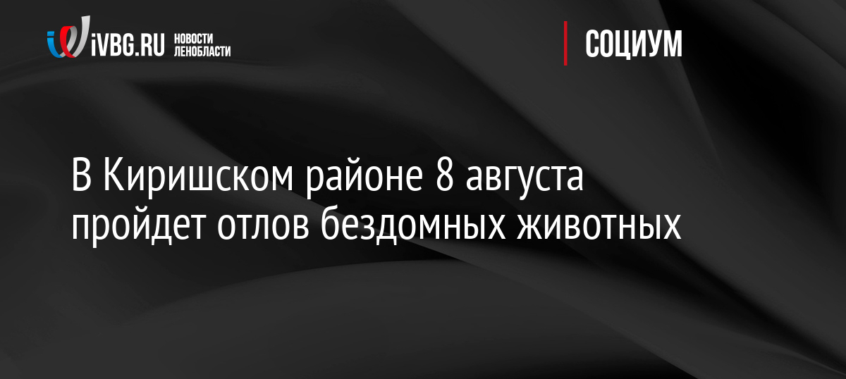 В Киришском районе 8 августа пройдет отлов бездомных животных