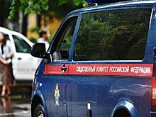 В Уголовный кодекс РФ хотят ввести новую статью