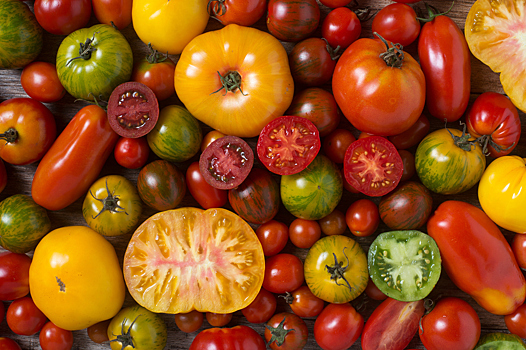 6 лучших сортов томатов — рекомендует агрофирма Аэлита