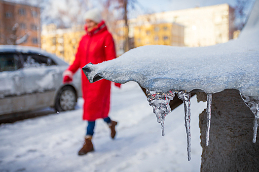 В Новосибирской области зафиксировали морозы ниже –41 градуса