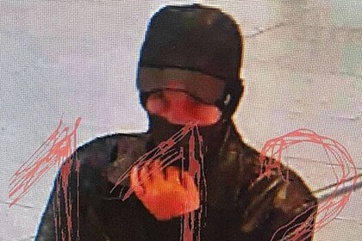 Суд отправил под стражу мужчину, угрожавшего гранатой посетителям ТЦ "Метрополис" в Москве