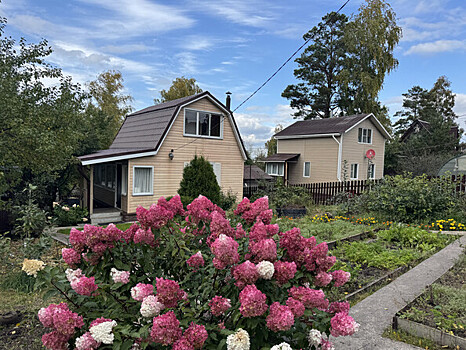 Выдачу сельской ипотеки возобновляет «Россельхозбанк»