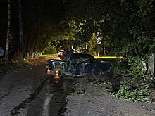 На улице Самсонова в Ижевске «бесправник» въехал в дерево