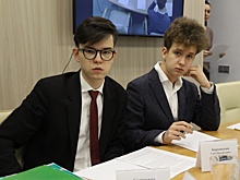 Какое будущее ждет Бурнаковскую низину в Нижнем Новгороде