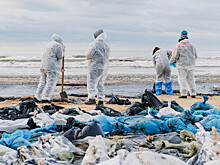 Стартует бесплатный курс о волонтёрстве в чрезвычайных ситуациях