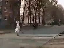 Перебегавшую дорогу жительницу Сарапула сбил водитель мопеда