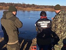 В Костромской области нашли тело одного из пропавших мальчиков