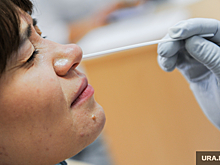 В Госдуме хотят дать россиянам право на бесплатный ПЦР в неделю