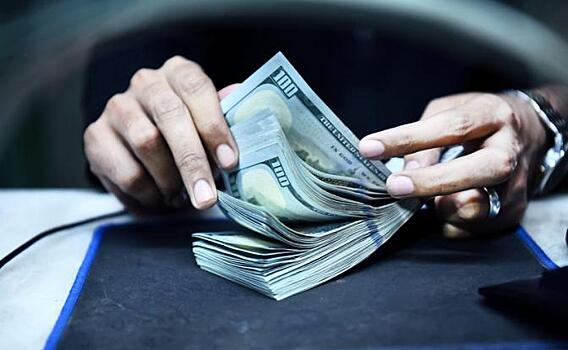 Эксперт сказала, что ждет курс доллара после ставки ЦБ на стабильность