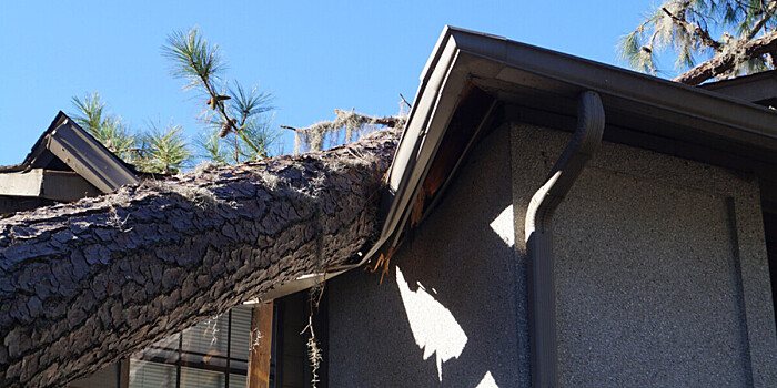 Ветер сносил крыши, валил деревья, рвал провода: в Грузии оценивают ущерб от урагана