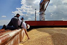 Названы последствия для России после отказа от «зерновой сделки»