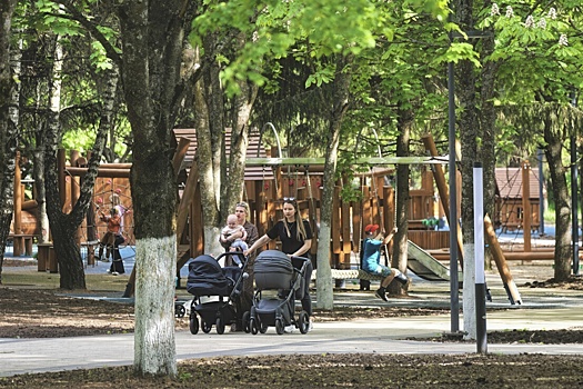 Аллеи и парк объединят в зелёную зону