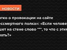 Бортко о провокации на сайте «Бессмертного полка»: «Если человек пишет на стене слово ***, то что с этим делать?»