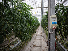 Адыгея вошла в первую десятку регионов по занятости населения в малом и среднем бизнесе